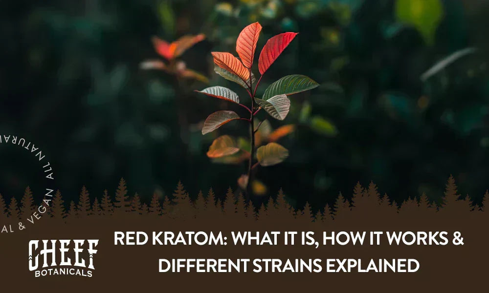 A Red Kratom plant growing naturally outside.