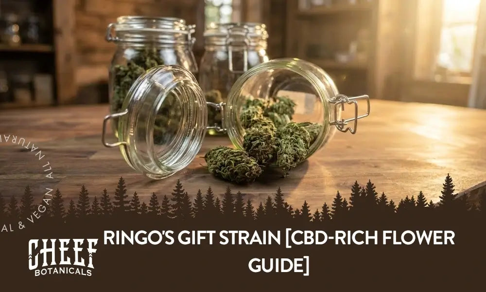A bunch of Ringo's gift CBD flower inside mason jars with the title "Ringo's gift strain".
