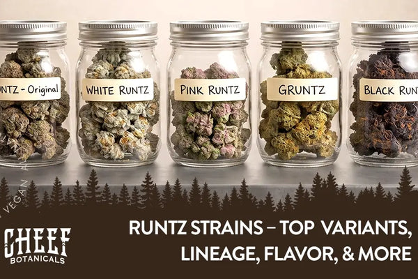 Runtz Strains – Top 12 Variants, Lineage, Flavor, & More