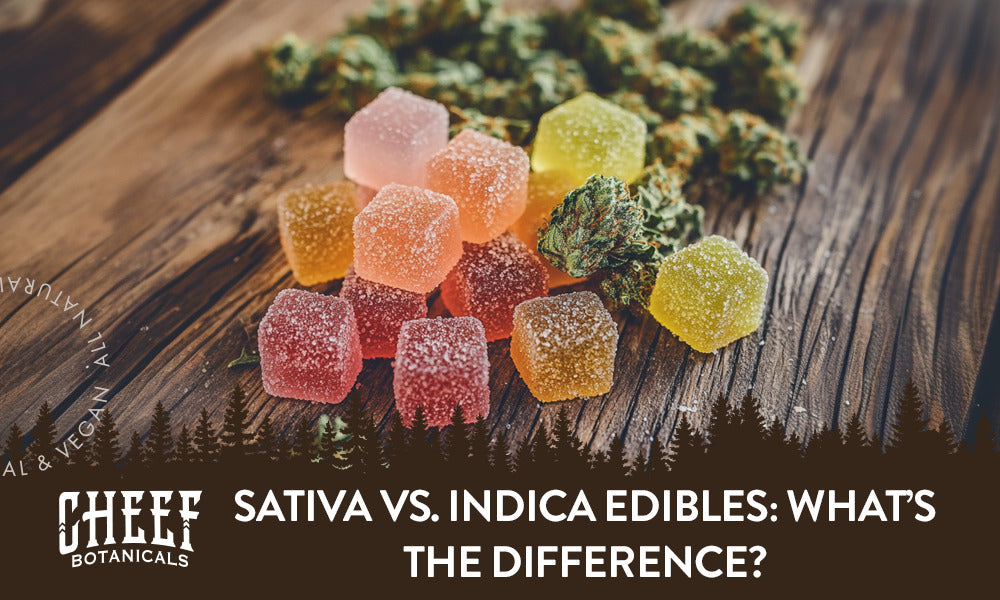 Sativa vs Indica Edibles (featured blog image by Cheef Botanicals). Shows some cannabis gummy cubes and cannabis buds.