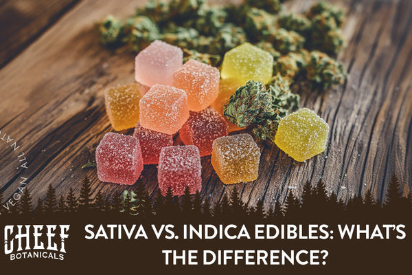 Sativa vs. Indica Edibles: Choosing the Right Edible Experience
