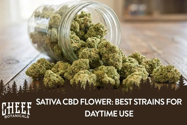 Sativa CBD Flower: Effects, Best Strains, and How to Choose