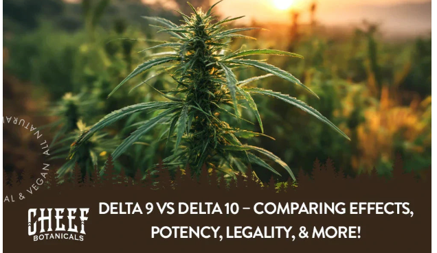 Featured blog image by Cheef Botanical showing a cannabis plant growing outdoors with the text “Delta 9 vs Delta 10 – Comparing Effects, Potency, Legality, & More!” highlighting Delta 9 vs Delta 10.
