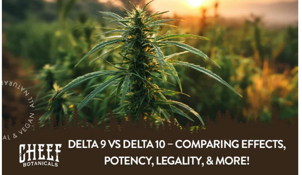 Delta 9 vs Delta 10 – Comparing Effects, Potency, Legality, & More!