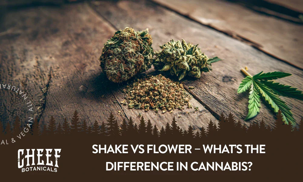 Two cannabis buds and shake sitting on a wooden table with the title "Shake vs flower".