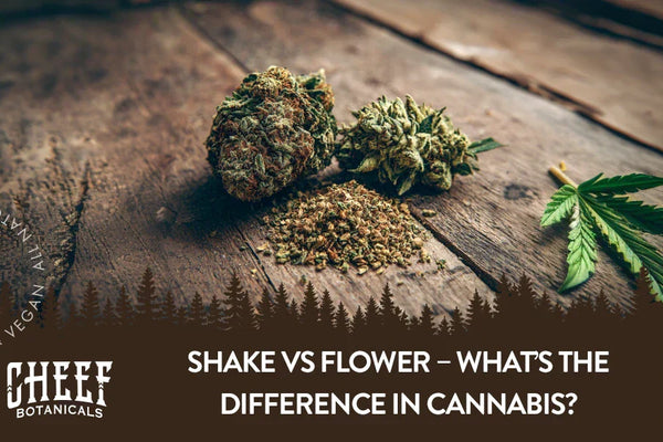 Shake vs Flower – What’s the Difference & Why It Matters
