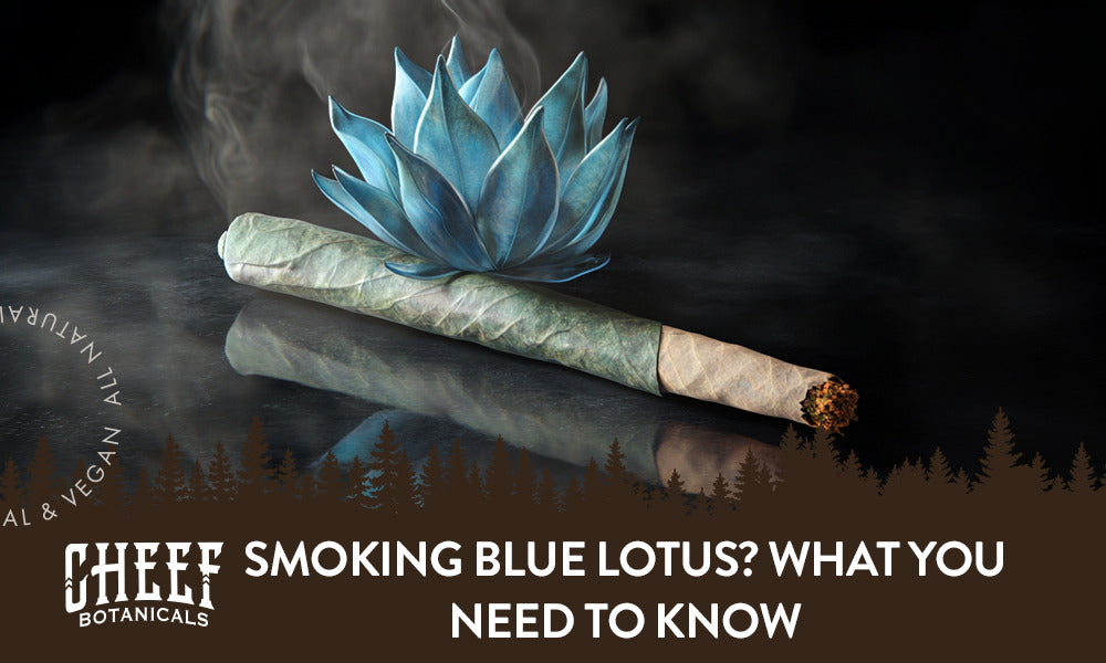 Smoking Blue Lotus featured blog image by Cheef Botanicals. Shows a fake Blue Lotus Flower and a rolled Blue Lotus joint 