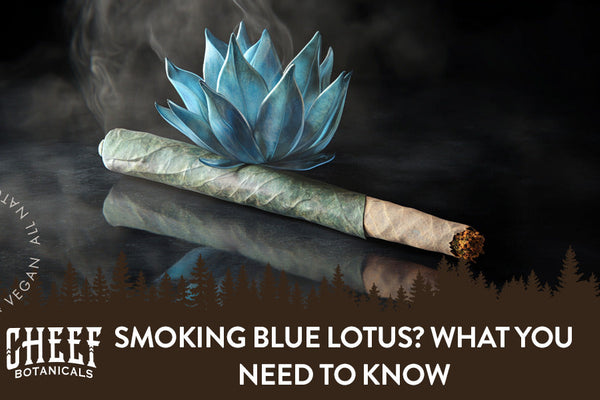 Smoking Blue Lotus: What to Expect & What to Know