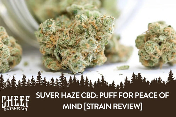 Suver Haze CBD: Puff for Peace of Mind [Strain Review]