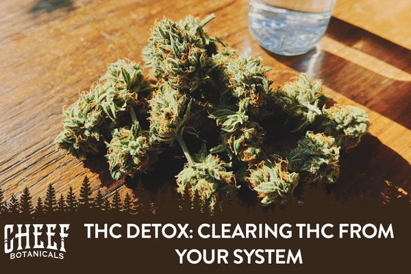 THC Detox: Clearing THC from Your System