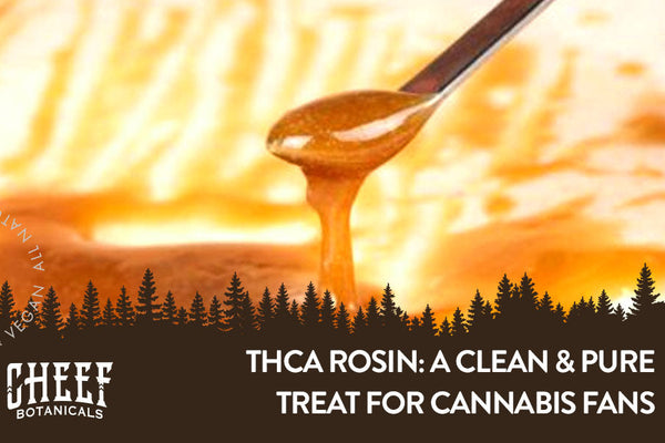 THCa Rosin - Heat It Up & Kick Your Feet Up