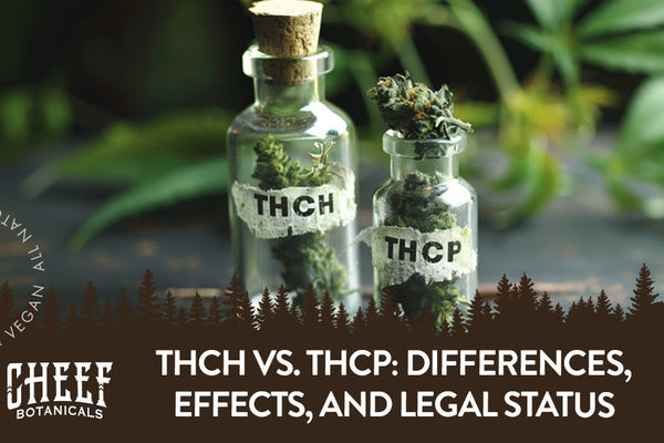 THCh vs. THCp: Differences, Effects, and Legal Status