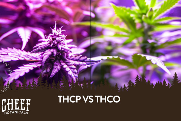THCP vs. THCO: Effects, Potency, Legality, and Key Differences