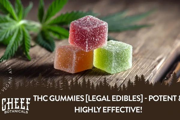 THC Gummies [Legal Edibles Guide] - Potent & Highly Effective!