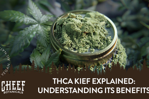 THCa Kief Explained: Understanding Its Benefits and Uses