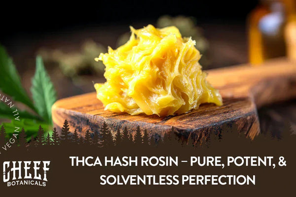 THCA Hash Rosin 101: Potency, Process, Uses, & More!