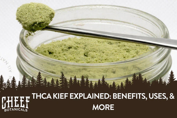 THCa Kief Explained: Benefits, Potency, Uses, & More