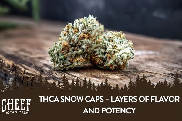 THCa Snow Caps – Layers of Flavor and Potency
