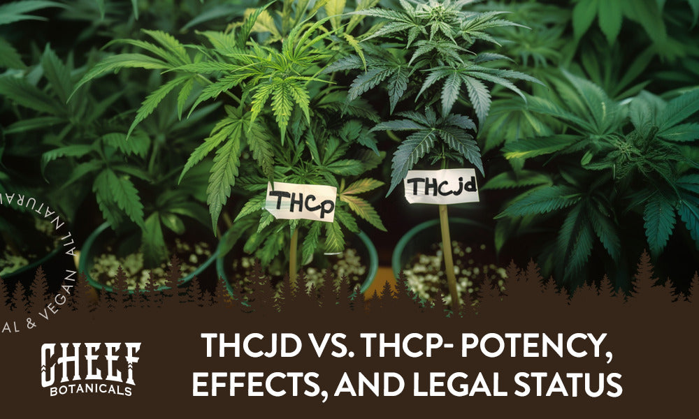 THCJD vs. THCp- Potency, Effects, and Legal Status Explained