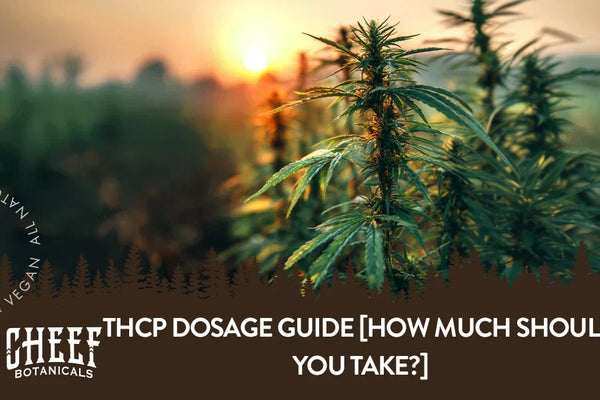 THCp Dosage Guide [See How Much Is Right for You]