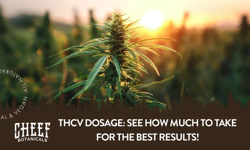 thcv dosage (featured blog image by Cheef Botanicals) shows a cannabis plant growing outside