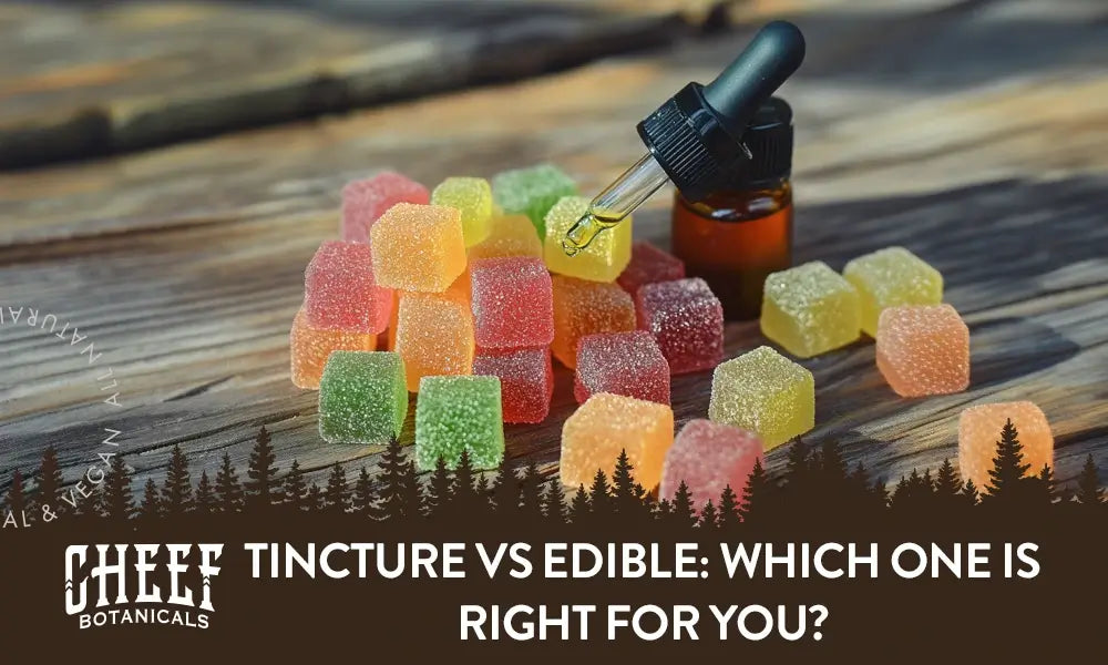 Tincture vs Edible: Which One Is Right for You?