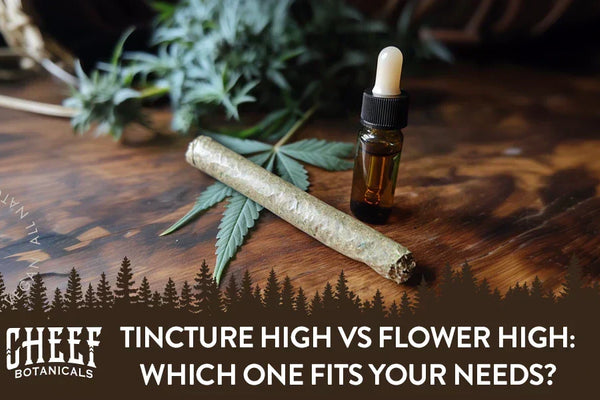 Tincture High vs Flower High: Here Is What Feels Different