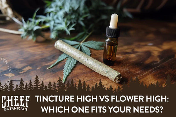 Tincture High vs Flower High: What Actually Feels Different?