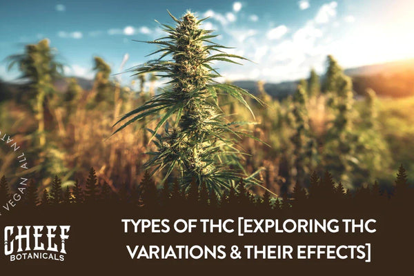 Types of THC [Exploring THC Variations & Their Effects]