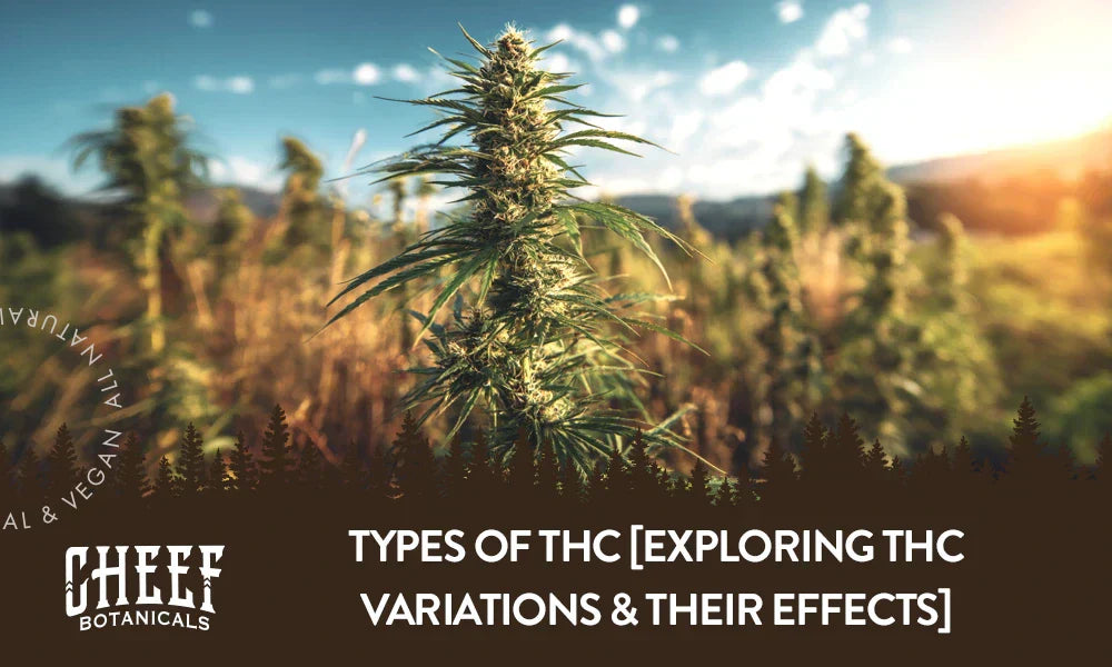 Featured blog image by Cheef Botanicals showing a cannabis plant growing outdoors with the text “Types of THC [Exploring THC Variations & Their Effects],” highlighting types of THC.