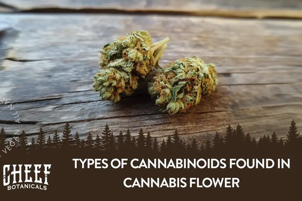 Different Types of Cannabinoids Found In Cannabis Flower