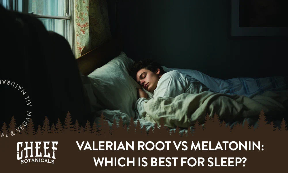 valerian root vs melatonin (featured blog image by Cheef Botanicals) shows a man sleeping in a dark room