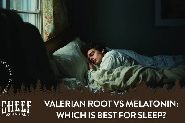 Valerian Root vs Melatonin: Which Is Best for Sleep?