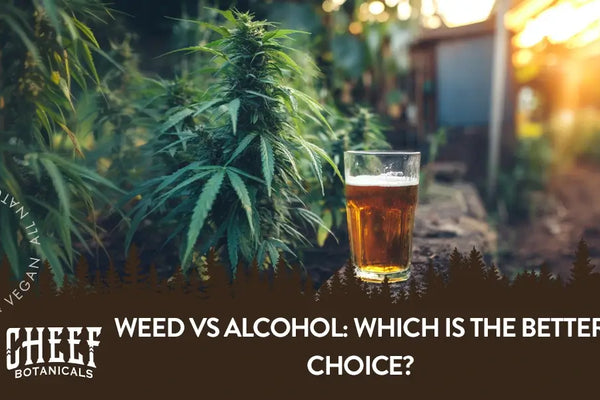 Weed vs Alcohol: How Each One Shapes Your Night