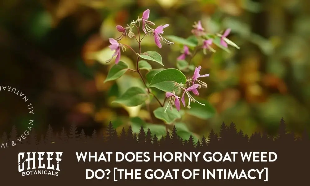 How Fast Does Horny Goat Weed Work? [Immediate vs Long-Term]