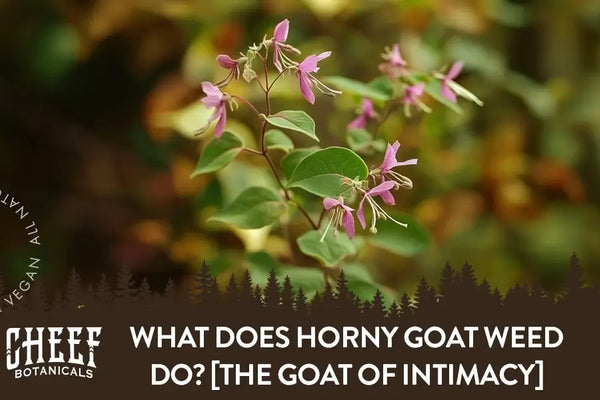 How Fast Does Horny Goat Weed Work? [Immediate vs Long-Term]