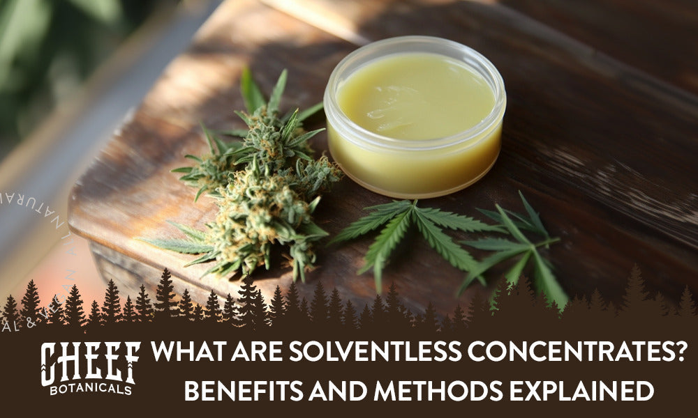 solventless concentrates (featured blog image by Cheef Botanicals) shows cannabis flowers and concentrate on a wooden table