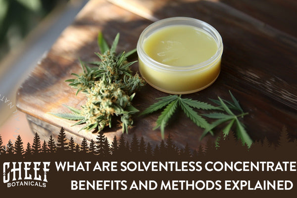 What Are Solventless Concentrates? Benefits + Top Options