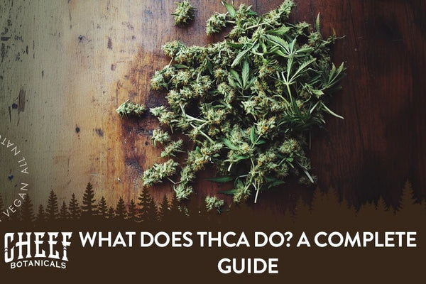 What Does THCa Do? A Complete Guide