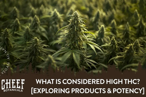 What Is Considered High THC? [Flower, Edibles, Dabs, & Vapes]