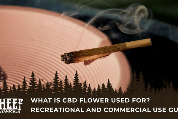 What Is CBD Flower Used For? Recreational and Commercial Use Guide