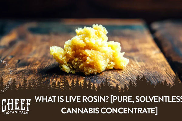 What Is Live Rosin? [Pure, Solventless Cannabis Concentrate]