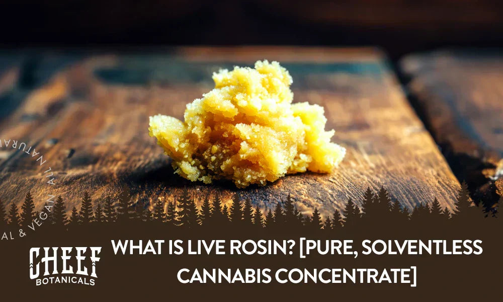 what is live rosin (featured blog image by Cheef Botanicals) shows THCa live rosin on a wooden table