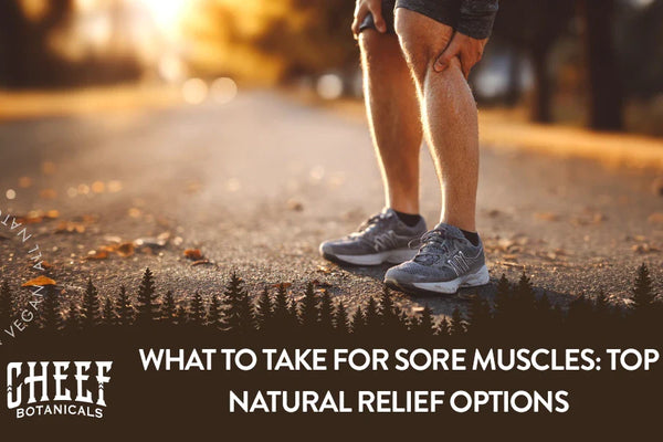 What to Take for Sore Muscles: Top Natural Relief Options