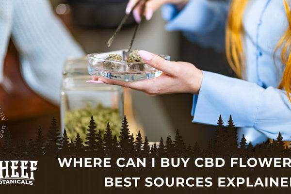 Where Can I Buy CBD Flower? Best Sources Explained