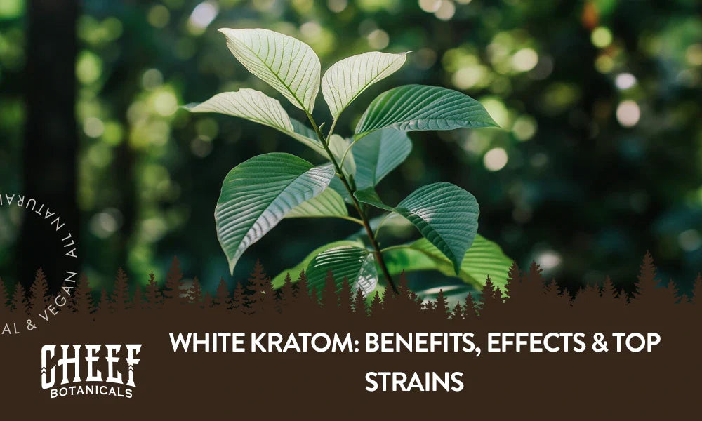 A white kratom plant growing naturally outside.