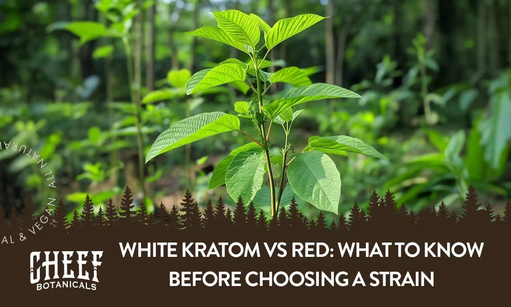A kratom plant growing naturally outside with the title "White kratom vs red".