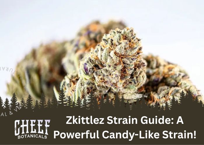 Zkittlez strain featured blog image by Cheef Botanicals. Show a close up image of Zkittlez buds on a white background.