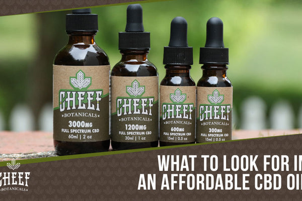 Affordable CBD Oil: Highly Effective &amp; Cost Efficient