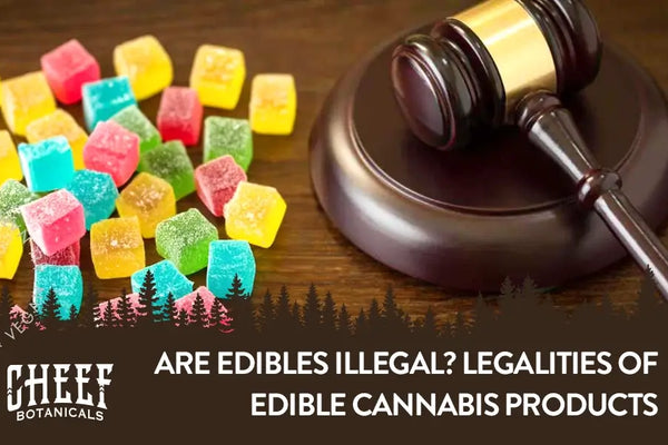Are Edibles Illegal? Legalities of Edible Cannabis Products